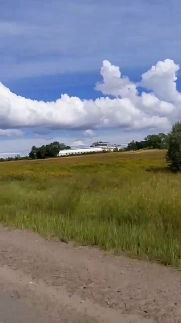 пока Петергоф и отель Бельведер смотреть онлайн