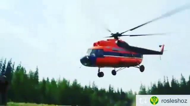 Неосторожное обращение с огнем в лесу смотреть онлайн