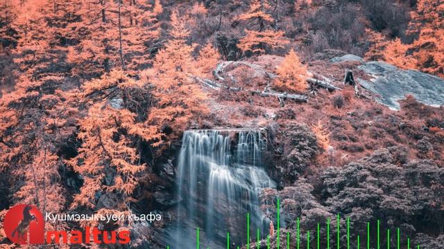 Кушмэзыкъуей къафэ смотреть онлайн
