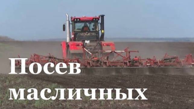 Аграрии ЛНР начали засевать масличных культуры
