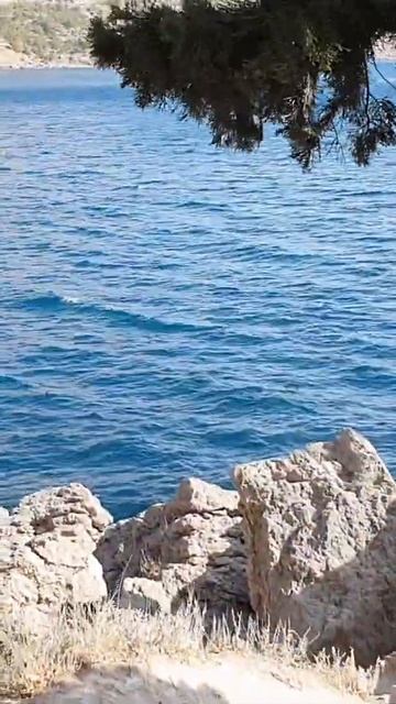 Крым сегодня! Чем необычен поселок Новый Свет. #Shorts смотреть онлайн