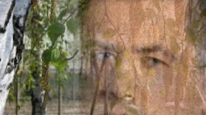 Березка- сл. Александр Сажин,муз аранж и исп Николай Ильин,монтаж-Валентина Зубкова,