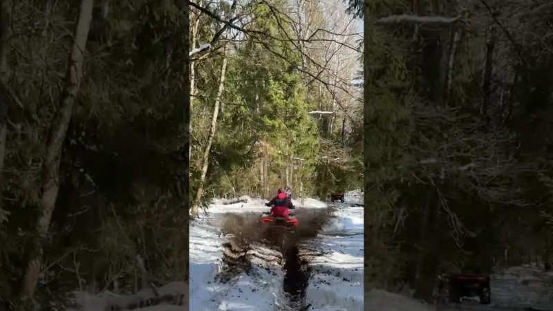 30 КОЛЁСА SHARMAX MUD PRO 1100 #motosnab #automobile #motovlog #offroad #sharmax #прохват #квадрик