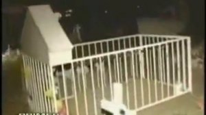 кадры на которых запечатлены ведьмы гномы и призраки