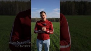 Мы хотим вам кое-что сказать...