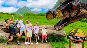 Влад и Ники. Семейная поездка на Гавайи! Видео для детей.