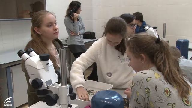 Проект "Растём в океанариуме" смотреть онлайн