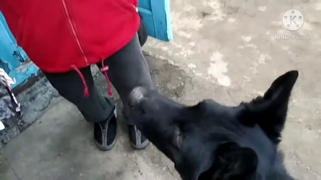 Посылка с Испании🤩🤩🤩!!! Распаковка... смотреть онлайн