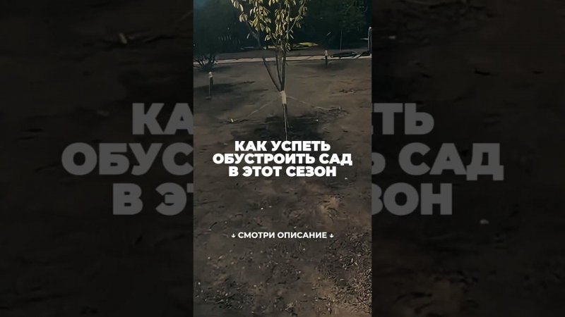 Как успеть обустроить сад в этот сезон смотри в комментариях