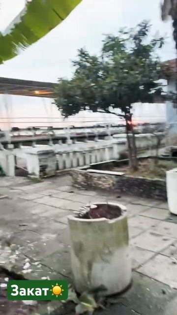 #абхазия #сухум#набережная