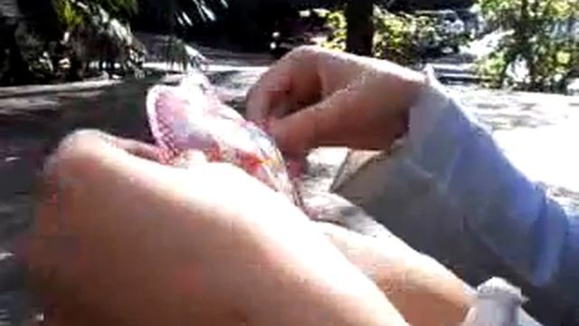 Покупки орбиз 1 смотреть онлайн