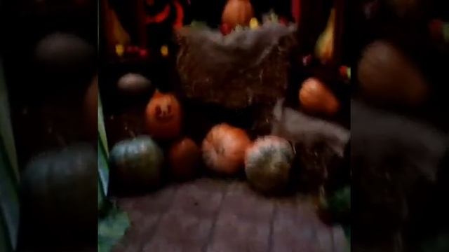 Борщ и салат с морепродуктами в кафе "БОН АППЕТИТ" Керчь смотреть онлайн