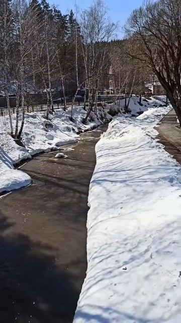 Белокуриха.26 марта 2020 г. смотреть онлайн