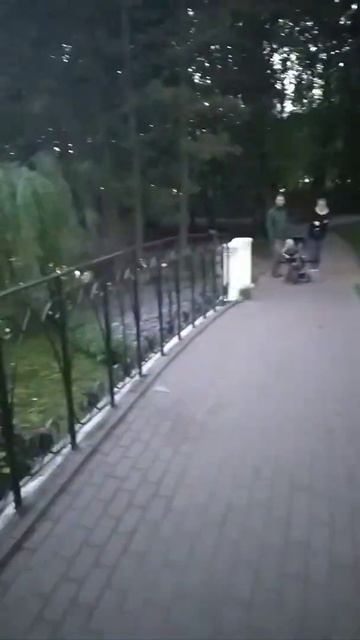 Августин, кафе. Зеленоградск смотреть онлайн