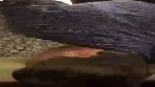 Задержание Джелия за нападение на Галское РОВД и сдал всех братьев смотреть онлайн