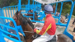 Скачка №4 от первого лица| Ипподром Алматы| 21 Мая