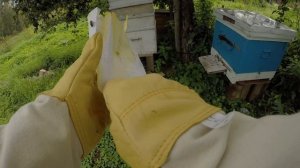 Что лучше для пчёл, холстик, клеёнка, или потолочные