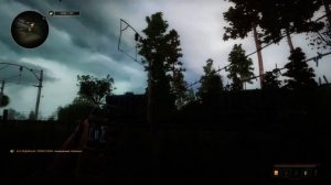 Лучшее Оружие Начала Игры. True Stalker #2