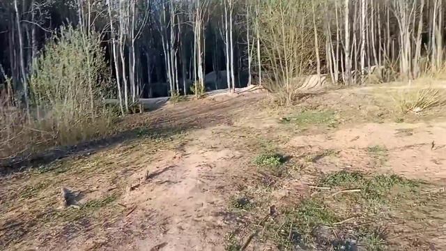 Как выжить в лесу??? смотреть онлайн