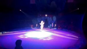 Цирк на льду поющий медведь