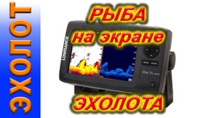 как эхолот Lowrance показывает рыбу