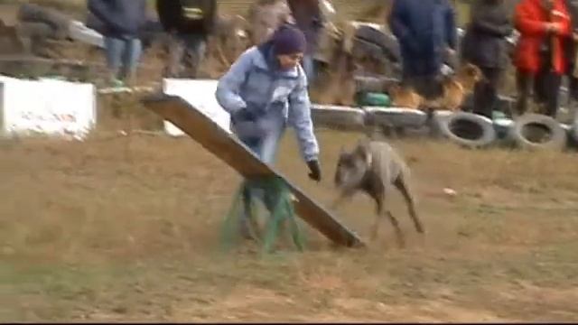 Осенние шуршалки Барнаул 2012 смотреть онлайн