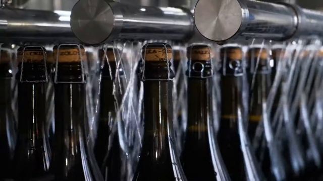 Золотая Балка. Марафон черноморских курортов в межсезонье