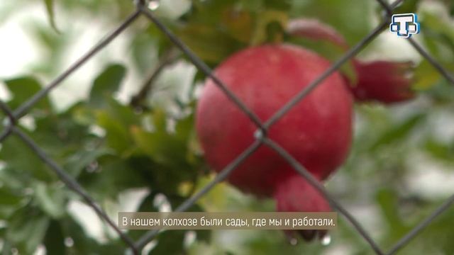 «Тарих излери» Выпуск от 26.09.2021 Арпат/Зеленогорье смотреть онлайн