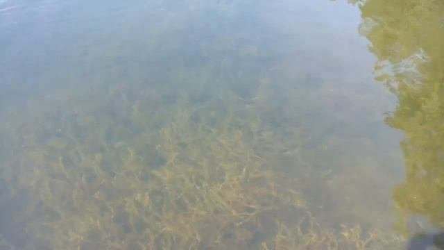 ОЗЕРО КОШКУЛЬ