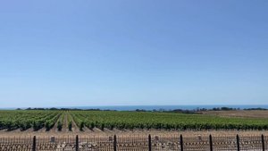 Винодельни Краснодарского края. Абрау-Дюрсо. Шато Де Талю