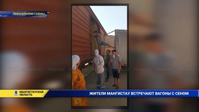 Жители Мангистау выражают благодарность уральцам за доставленное сено смотреть онлайн