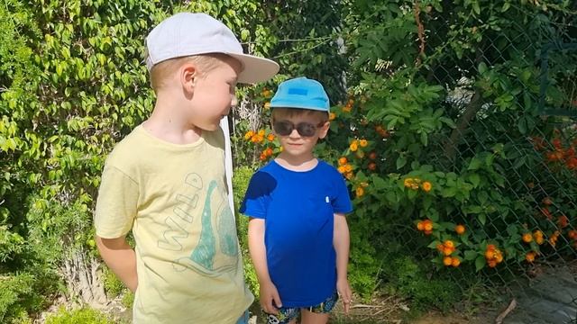 Дети играют на пляже **2 Часть** смотреть онлайн