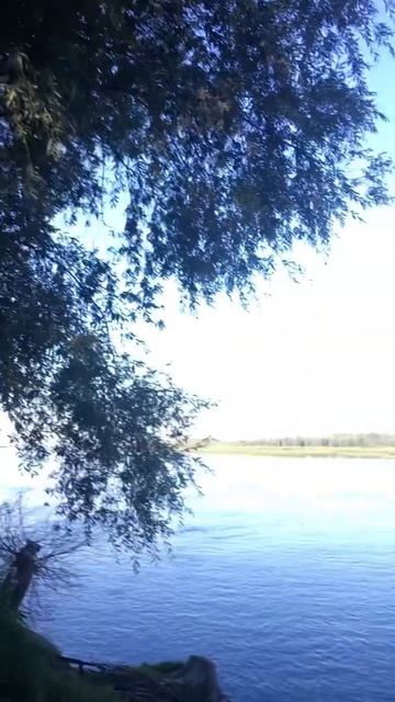 Отличное место на Оби нашли! Думаю вернемся еще!