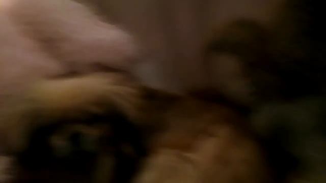 Кино отель Элеон смотреть онлайн