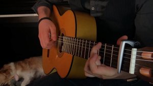 Lady Gaga На гитаре:Фингерстайл