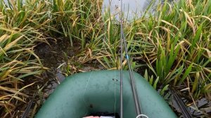 БЕШЕНЫЙ КЛЁВ ЩУКИ !!! Вот это рыбалка