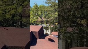 Сочи гостиница luciano. часть-2. 3.06.2024 г.