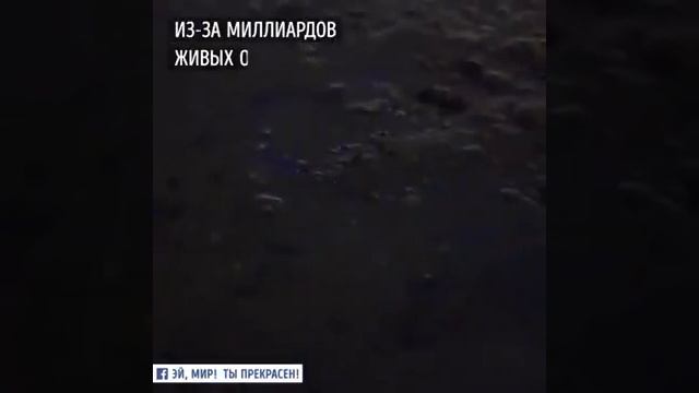 Мальдивы славятся своими пляжами!! \ Delux. Best Club of Travel