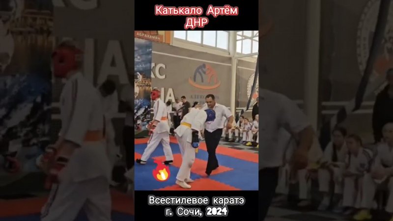 Всестилевое каратэ. Сочи 2024