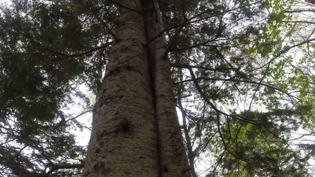 Интерессное место Находка для мастера Вторая часть смотреть онлайн