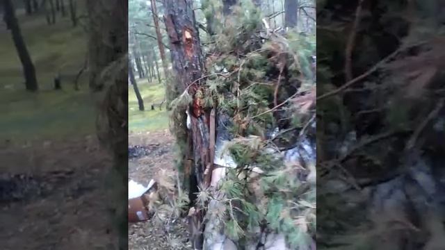 Шалаш в лесу смотреть онлайн