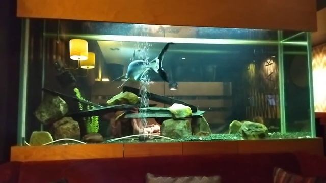 Идём на поправку//Романтический вечер//Город перед Новым годом смотреть онлайн