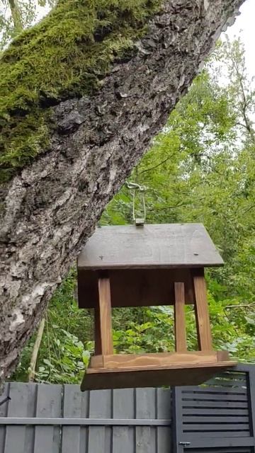 волшебное место, куда хочется вернуться! ЭКО отель Простые радости Курск 🌿🌱🌿 #лето #счастье смотреть онлайн