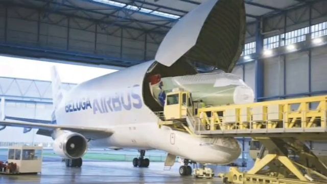 Interesting facts of Airbus Beluga XL смотреть онлайн