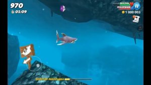 Hungry shark взлом money and diamonds