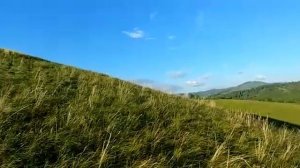 солонешное, панорама с высокой горки за вышками