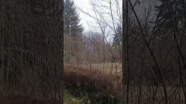 1000322470.mp4 НАЛЬЧИК МАРТ 2024 ПРОГУЛКИ ПО ОКРЕСТНОСТЯМ