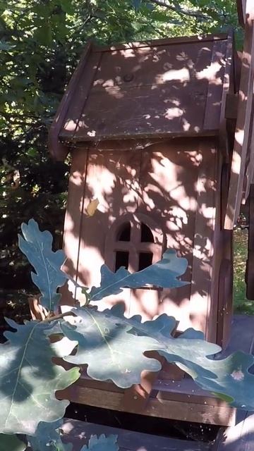 Усадьба Лебедь Турочак Республика Алтай Часть 38 #Shorts смотреть онлайн