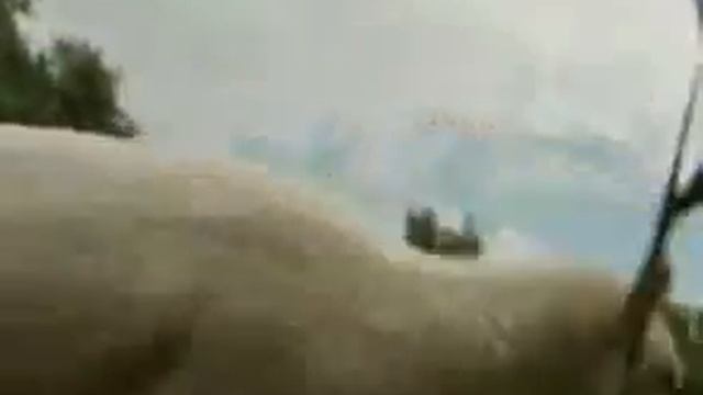 Бизнес идея Не золотое, но прибыльное руно смотреть онлайн