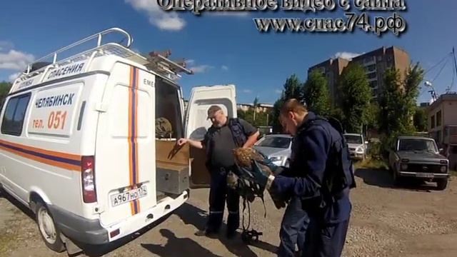 спасатели помогли ястребу смотреть онлайн